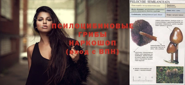 амф Бронницы