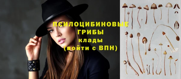 твердый Бугульма